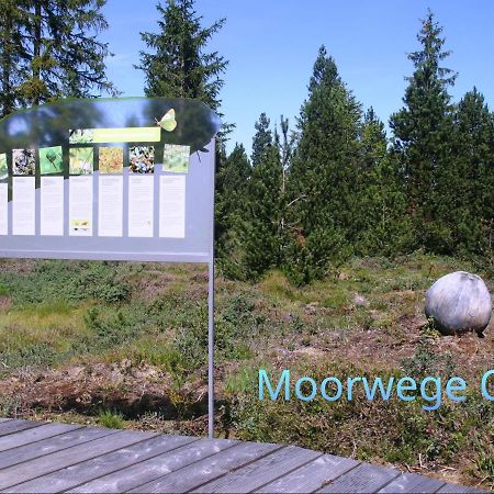 Ferienwohnung Schoene Auszeit Oy-Mittelberg Exteriör bild