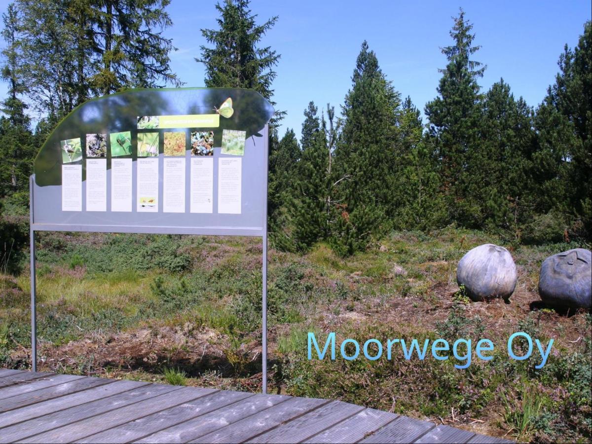 Ferienwohnung Schoene Auszeit Oy-Mittelberg Exteriör bild